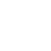 Icon electronik